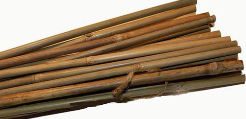 natural bamboo stakes