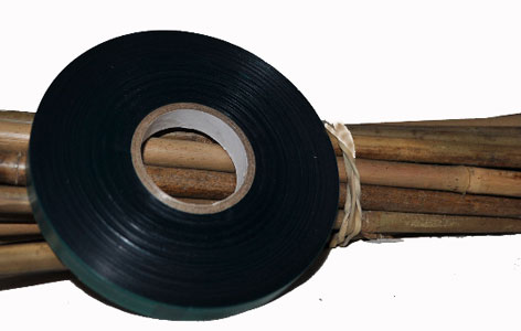 green bamboo stake, with tape